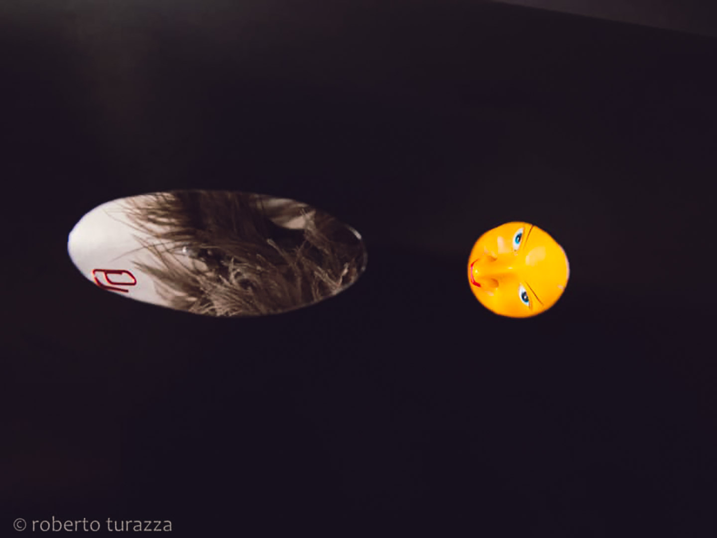 Artfarm Pilastro 2019, Umberto Polazzo